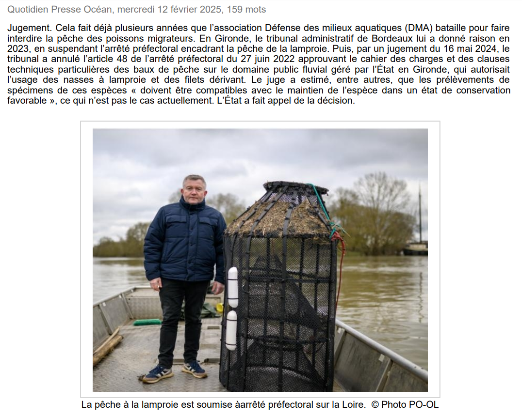 article