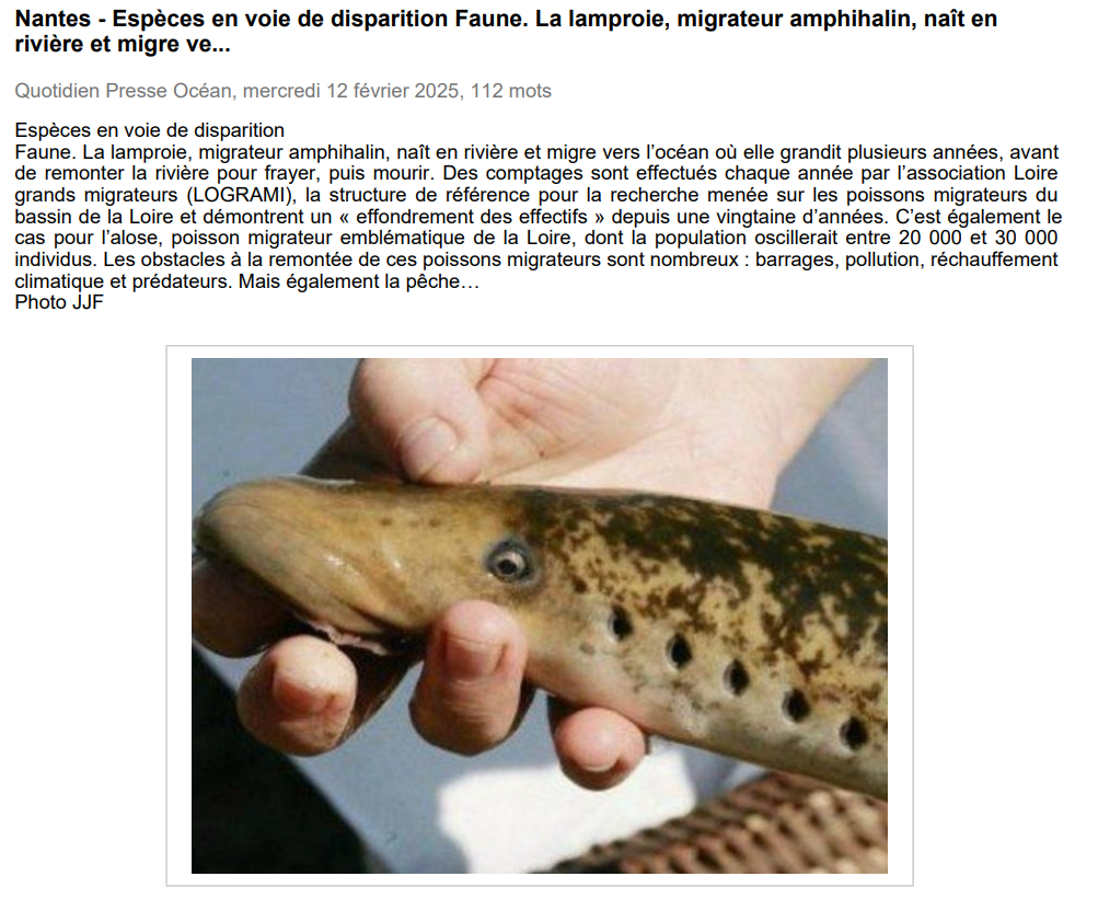 article