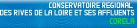corela