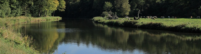 img_slider