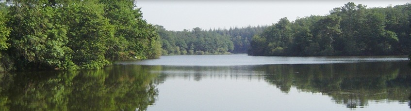 img_slider